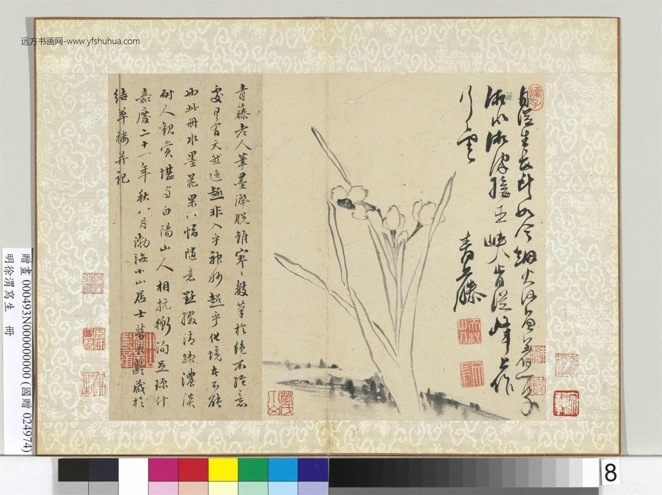 明_徐渭_写生册　_12